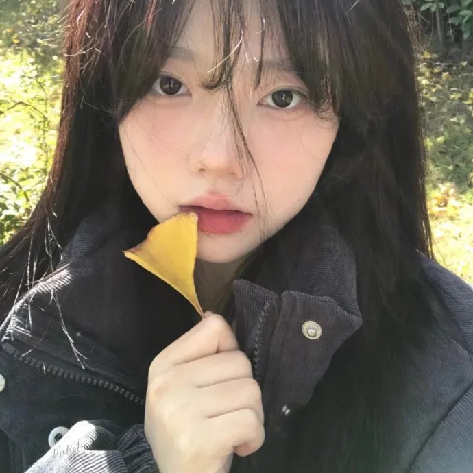 追影行动